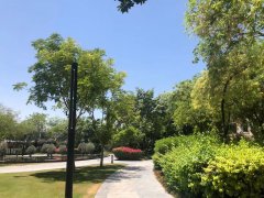 �ϰݷ��� �����ĳ������� ��©ˮ���� С��