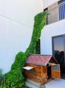 ����5������ ֻҪ225W