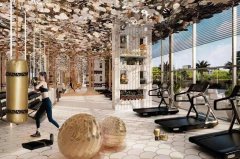 �����Ĳ�������ӵ�dubai mall