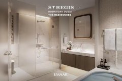 �ϰݺ��ⷿ����©��©��© ������������St.Regis2��