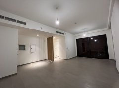 �ϰݺ��ⷿ������DubaiHills3���ַ���Ԣ�����ڸ����