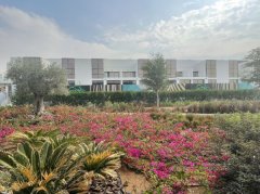 �ϰݺ��ⷿ��amp;#129395;�����ַ�amp;#129