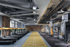 DANUBE ��˹������