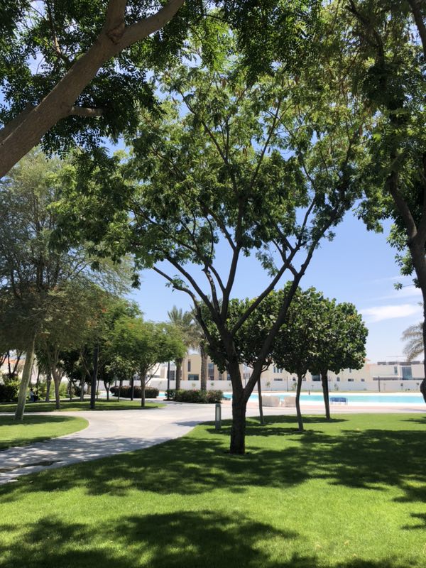 迪拜房产 市中心水晶湖独栋别墅回报率在100% 迪拜房产 市中心水晶湖独栋别墅回报率在100%