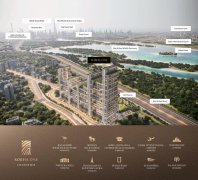 �ϰݷ��� �����ĵ���������˹ 100����˫����