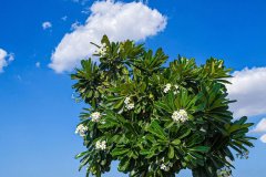 ��Ϫ�ۼ�©��