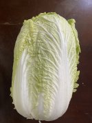 ���ʵĴ�ײ��߲��г�����