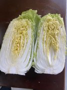 ���ʵĴ�ײ��߲��г�����