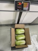 ���ʵĴ�ײ��߲��г�����