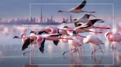 �ϰݺ��ⷿ��׼�ַ� ��Ϫ��ɳ̲2������ �ϰ�**�󿪷���EM