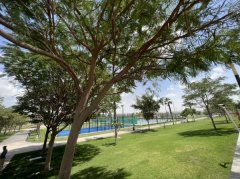 �ϰݺ��ⷿ��15��/�������ɽׯ���� 2��+��ķ��+4��13