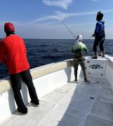 �ϰݺ���˽�˶���