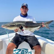 �ϰݺ���˽�˶���