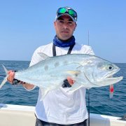 �ϰݺ���˽�˶���