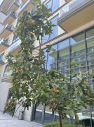 �ϰݺ��ⷿ����©�����������װ�����Greensһ���Ҵ���-