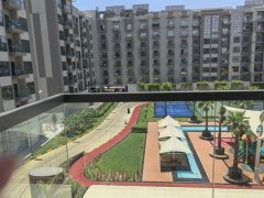 ���⣺����һ��studio �·�����