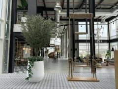 �ϰݺ��ⷿ������ �ϰ�ɽׯcollective 2��ȫ��2��