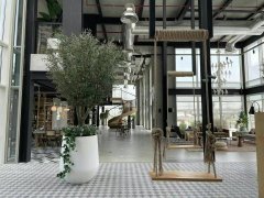 ���������⣡���� �ϰ�ɽׯcollective 2�� ȫ��