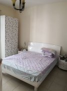 ���� :����CBD���ʳ�Indigo Spectrum-1 