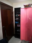 ���� :����CBD���ʳ�Indigo Spectrum-1 