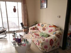 ���� :����CBD���ʳ�Indigo Spectrum-1 