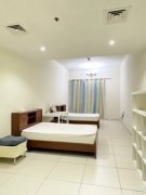 ���ǹ��ʳ�CBD��è�������������Ժʹ�λ����