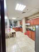 ���ǹ��ʳ�CBD��è�������������Ժʹ�λ����