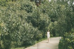 �ϰݷ��� ������Ա��Լ۱�**�ߵı��� ���ò�Ȩ