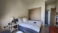 �ϰݺ��ⷿ���ϰ�ɽׯ**��**�õ��巿���۵����г���-������