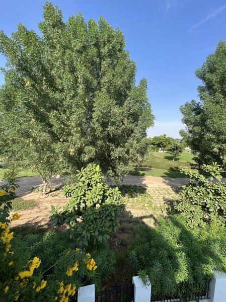 迪拜海外房产四房双拼别墅现房现房 一线公园景观绿植环绕-永久 迪拜海外房产四房双拼别墅现房现房 一线公园景观绿植环绕-永久