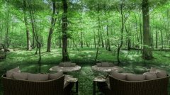 �ϰݷ��� ����������۸߶�ס��¥ �ܼ�148���� �׸�20%