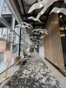 �ϰݺ��ⷿ������ϰ�ɽׯcollective2.0 С����I