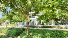 �ϰݷ������ϰݶ��ַ����ϰ�ɽׯSidra 3����������