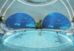 �ϰݷ�����MARINA������