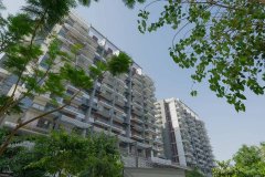 �ϰݺ��ⷿ�������ַ����ַ�! ��Ҫ������˵���� �����ַ�ѧ��