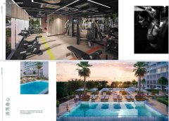 �ַ���Ԣ ���Ǽ��Ƶ깫Ԣ����