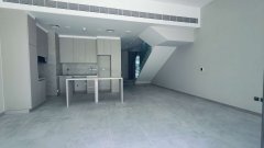 �ϰݺ��ⷿ�� ����������MagEyeȫ������+��ķ�����⣬