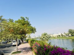 �ϰݺ��ⷿ�����ۣ����ҷ�Դ ������ɽׯ�������� ���ϰ�