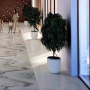 �ϰݺ��ⷿ��DMCC׼�ַ� һ���� 159�����ķ