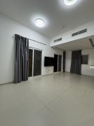 �ϰݺ��ⷿ������ϡȱ�÷�Դ��320���ķ�VillaNovaA