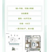 迪拜海外房产森林城超高回报率性价比的1+1房 (可做小两房 迪拜海外房产森林城超高回报率性价比的1+1房 (可做小两房