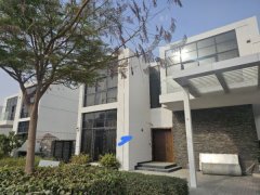 �ϰݺ��ⷿ��Damachill1�������ձ���amp;#127