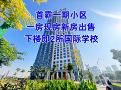 �ϰݷ������ϰݶ��ַ����װ�����أ��ַ�һ���ҳ���