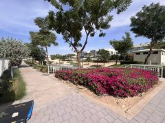 �ϰݺ��ⷿ��Dubaihills,����Maple2,4+ma