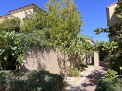 �ϰݺ��ⷿ��Serena Casa Dora ���� 3+ma