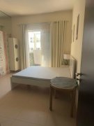 ���ű������Գ���