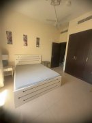 ���ű������Գ���