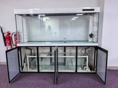 ���۶����������