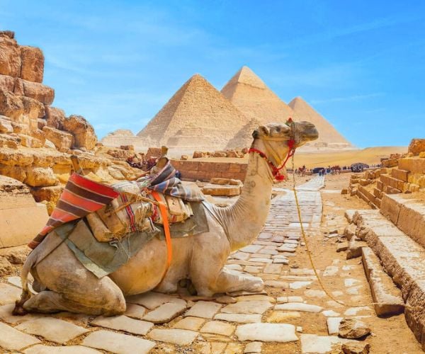埃及旅游 埃及旅游