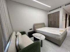 �ϰ�ɽׯ����Skyhillls ȫ��studio����